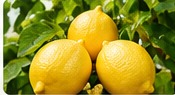 Limon